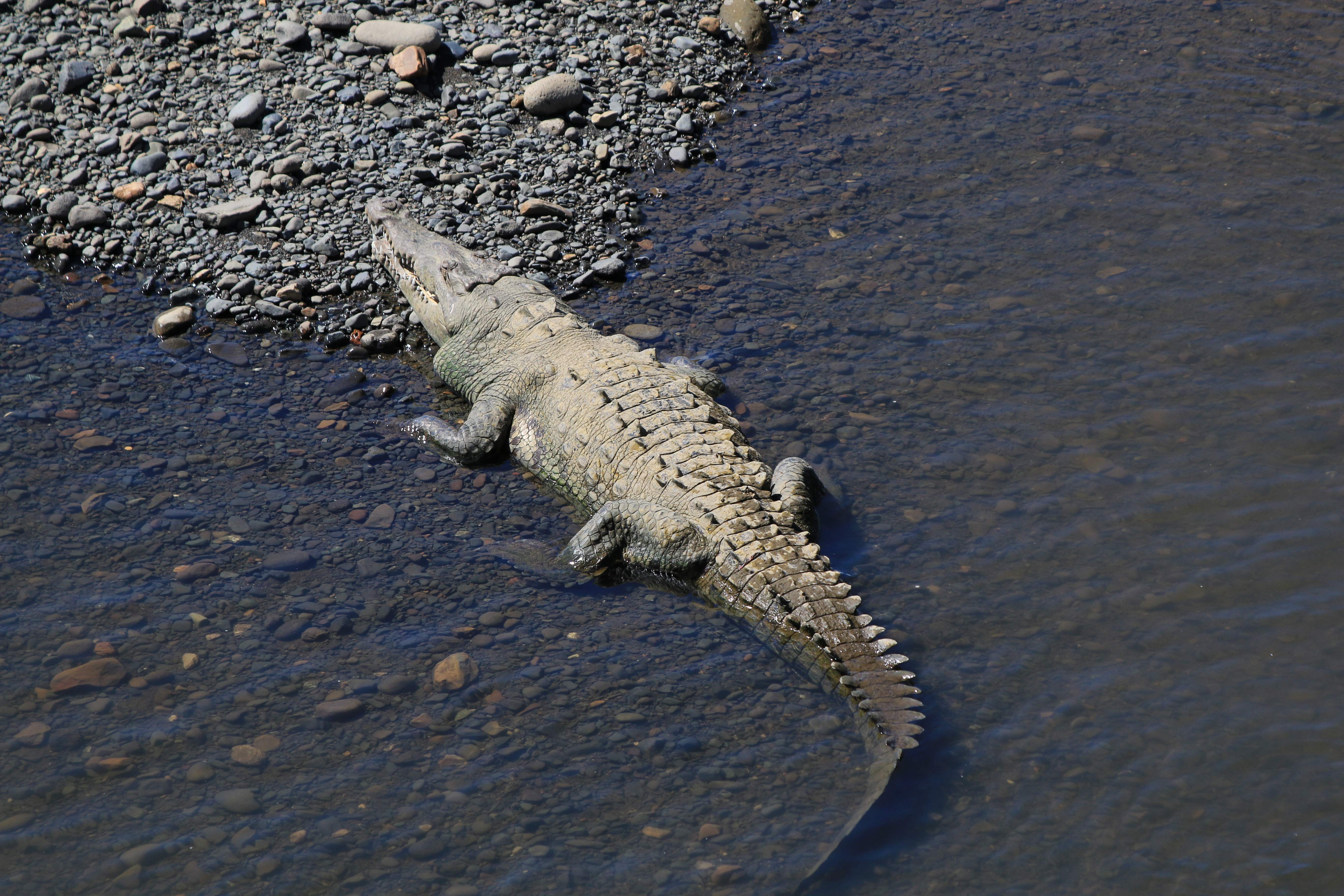 Costa Rica